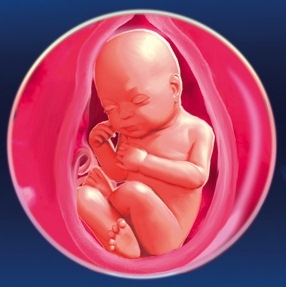 Care sunt simptomele săptămânii 31 de sarcină - Mama și copilul > Sarcină - japanparts.ro