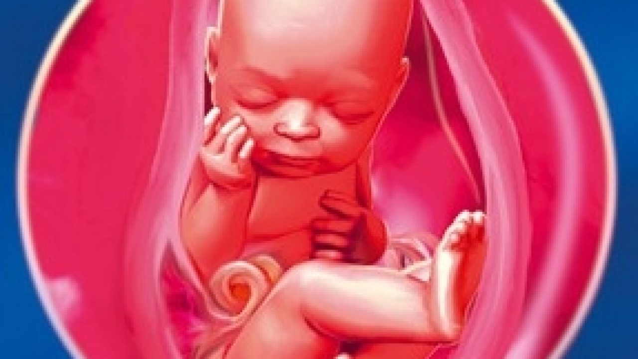 Săptămana 35 De Sarcină Babystem