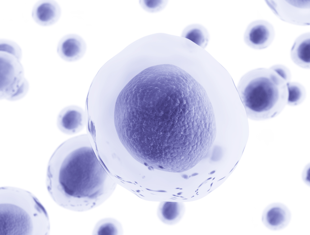 Adevărul Live: Ce boli vindecă celulele stem | ascorcraiova.ro